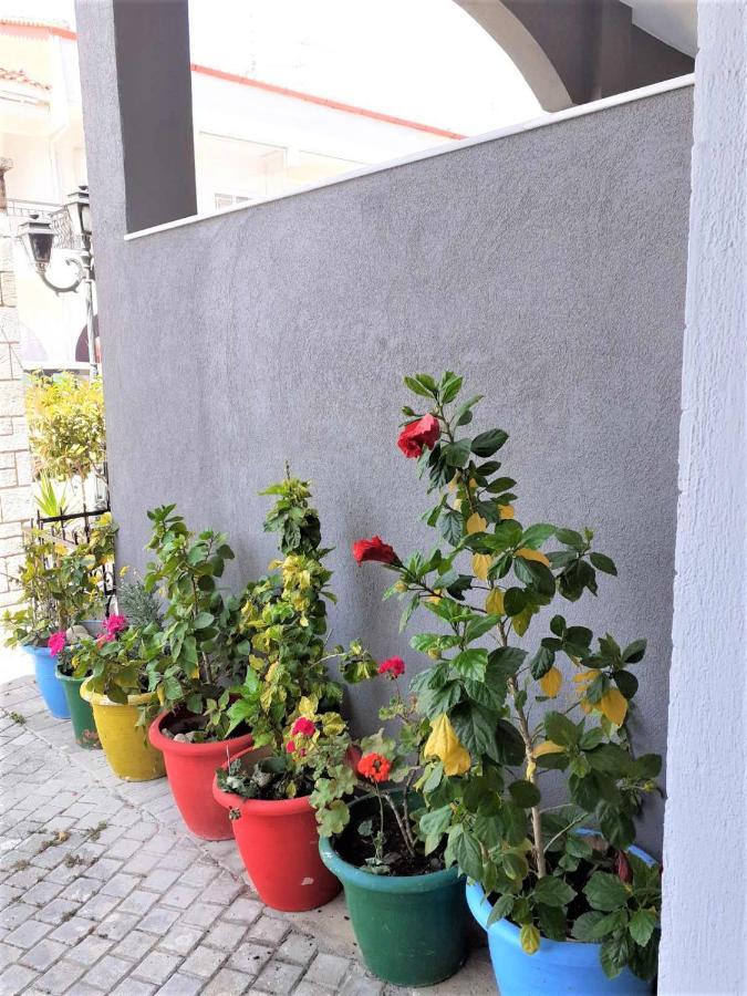 ホテル Elpida View Kallithea  エクステリア 写真